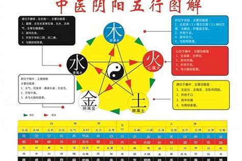 辛巳年五行属什么_辛巳年出生的人是什么命,第2张