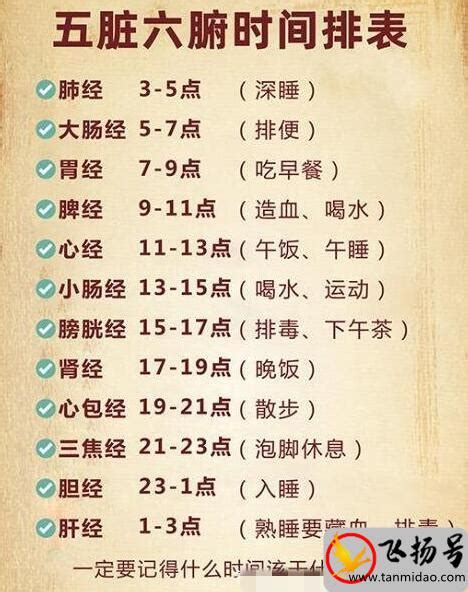 喜鹊叫有什么兆头_吉凶如何,第3张 喜鹊叫有什么兆头_吉凶如何,第3张