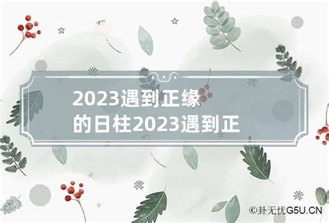 壬寅日柱2023年癸卯年运势_壬寅日柱走什么大运好,第10张