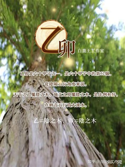 乙丑日柱女命婚姻_乙丑日柱女命看配偶,第3张 乙丑日柱女命婚姻_乙丑日柱女命看配偶,第3张