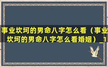 有贵气的男命八字_男生有贵气的八字,第25张