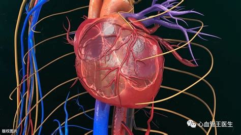 五行缺火的女人命运_五行缺火的女人命好不好,第14张 五行缺火的女人命运_五行缺火的女人命好不好,第14张