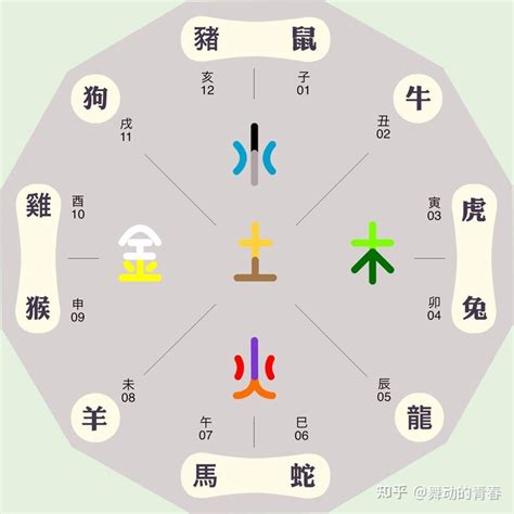 天干地支与五行_天干地支与五行关系,第14张