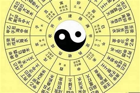 五行属木的女孩名字_五行缺木洋气名字,第2张