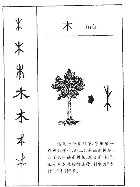 取名字算五行_起名字测五行,第10张