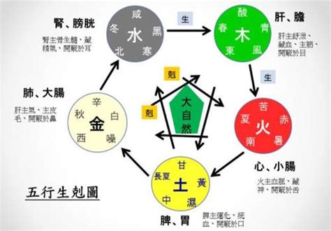 阴阳五行八卦基础知识_八卦阴阳五行入门基础知识,第7张