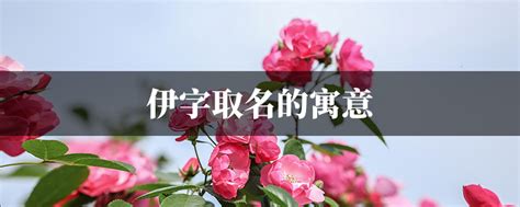 伊字的女孩名字甜美_伊字的名字有寓意,第2张 伊字的女孩名字甜美_伊字的名字有寓意,第2张