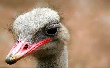 梦见自己裸体什么意思啊_梦见自己裸体有什么寓意,第6张 梦见自己裸体什么意思啊_梦见自己裸体有什么寓意,第6张