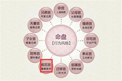 紫微命盘排盘_紫微排盘怎么看图解每一宫,第10张