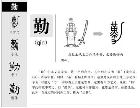 勤字的女孩名字大全_以勤字结尾的名字,第2张