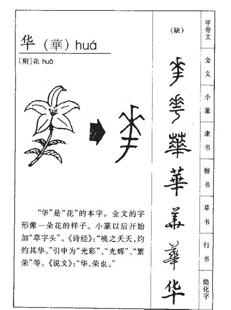 华字的女孩名字甜美_华字的名字有寓意,第4张