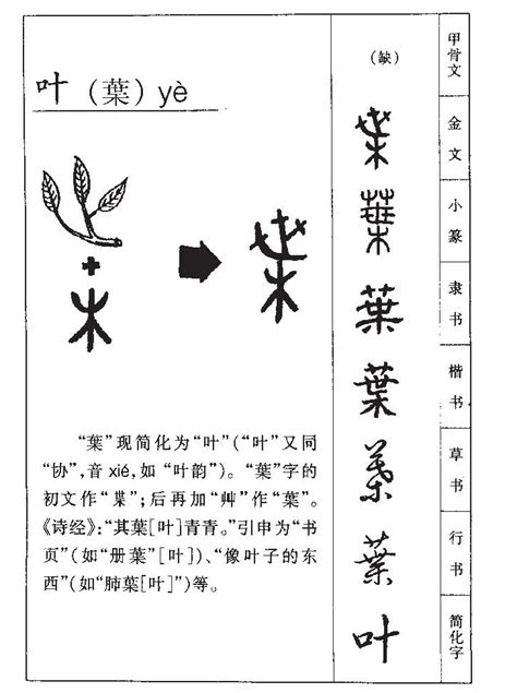 叶字好听的女孩名字_叶和什么字搭配最好,第2张 叶字好听的女孩名字_叶和什么字搭配最好,第2张
