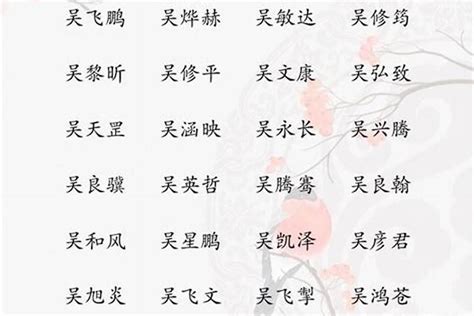 吴姓牛年男宝宝取名字最佳字_姓吴的牛宝宝起名常用字,第3张