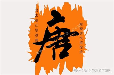 姓唐的男孩取什么名字好_唐姓2个字男宝宝起名,第2张