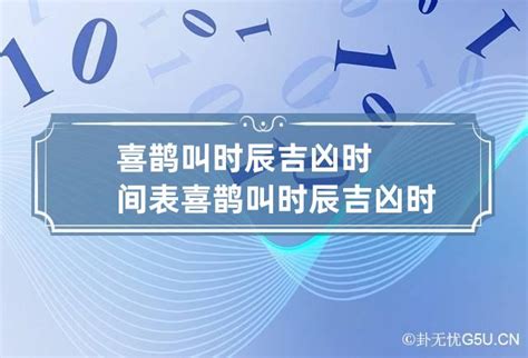 一般喜鹊会提前几天报喜_喜鹊几点是报喜,第3张