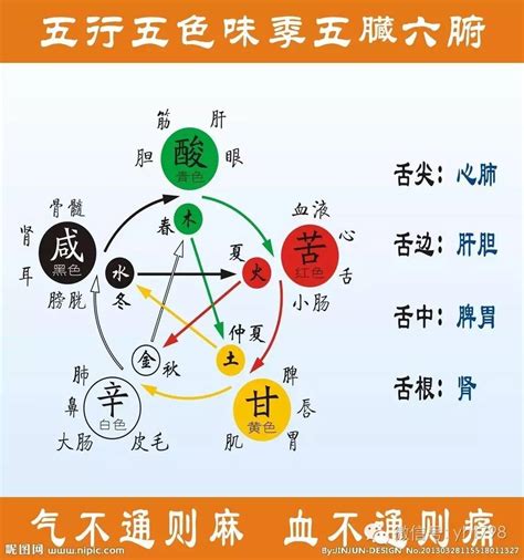 取名字算五行_起名字测五行,第6张