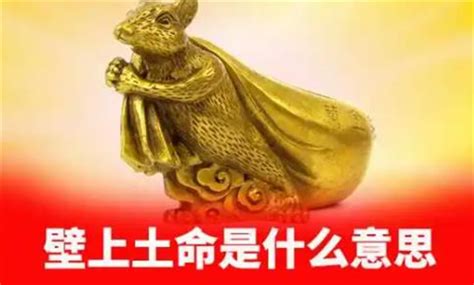 2021年壁上土命怎么起名_壁上土命是什么意思,第2张