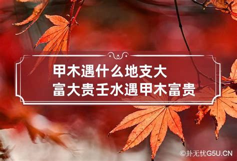 壬水见七杀必成大器_壬水见七杀羊刃,第9张