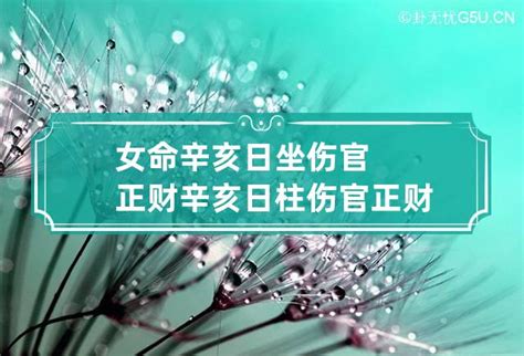 八字伤官格女命晚年命运_八字伤官格女命怎么化解,第5张