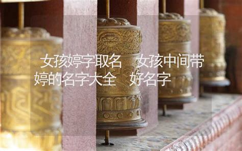 婷字的女孩名字大全_婷字结尾的女孩名字,第3张
