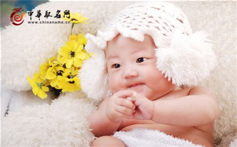 带淑字的女孩名字洋气_淑与什么字搭配好,第5张 带淑字的女孩名字洋气_淑与什么字搭配好,第5张