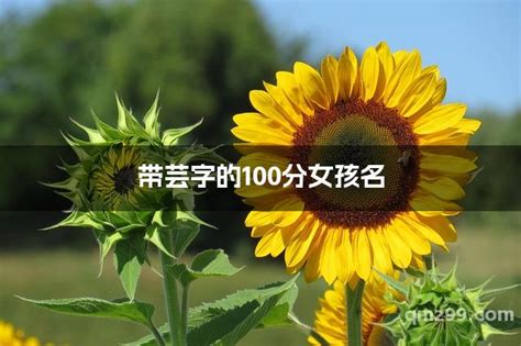 和芸搭配的女孩名字_含有芸的气质名字,第2张 和芸搭配的女孩名字_含有芸的气质名字,第2张