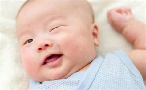牛年出生的男宝宝小名叫什么好_好听的属牛男宝小名,第3张