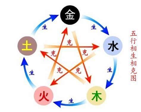 五行属木的字_五行属木的字有哪些,第2张 五行属木的字_五行属木的字有哪些,第2张