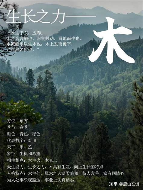 五行缺木的意思_五行缺木的意思是什么,第12张 五行缺木的意思_五行缺木的意思是什么,第12张