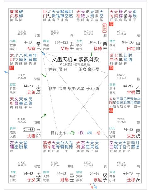 紫薇斗数子女_紫薇斗数在线排盘,第6张