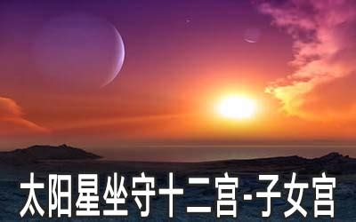 紫薇斗数子女_紫薇斗数在线排盘,第17张