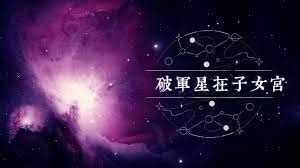 紫薇斗数子女_紫薇斗数在线排盘,第7张