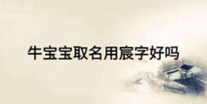 牛宝宝起名带宸_宸字取名牛年,第3张