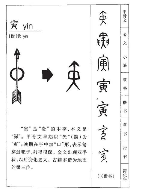 带寅字取男孩名字_男孩名字带寅字有寓意,第2张