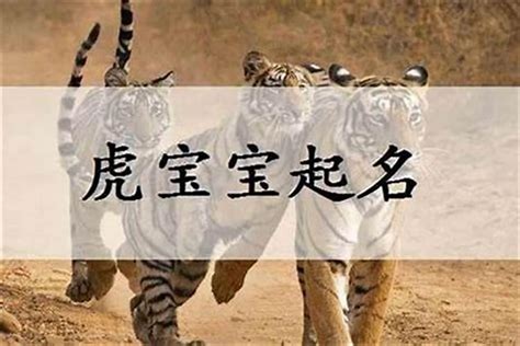 2022年属虎宝宝小名_适合属虎宝宝的乳名有哪些,第3张