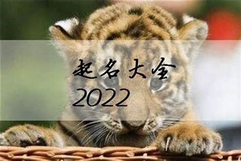 属虎的小名_男孩属虎乳名叫什么好,第2张
