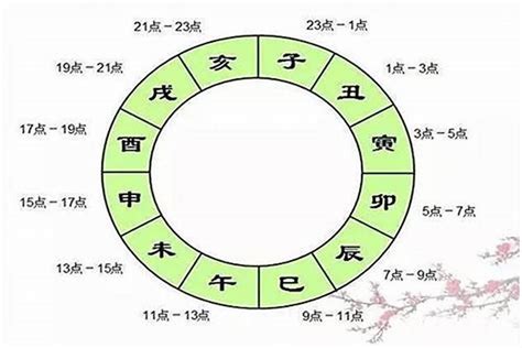 己未日柱2023年癸卯年运势_己未日柱走什么大运好,第9张