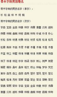 属木男孩取名带东字_东字取名寓意好的,第3张