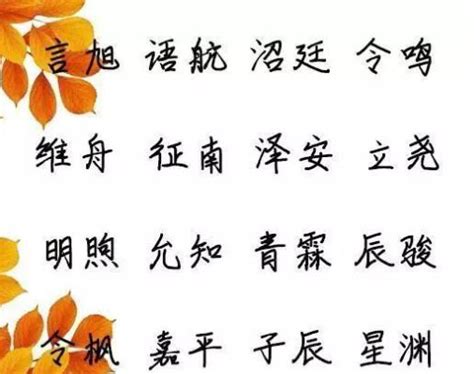 五行缺金的男孩取名字带升字_属金名字用升字男孩,第4张
