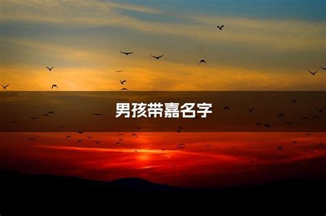 嘉字五行属什么寓意是属木_嘉字五行属什么和意义取名,第14张