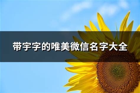 属土取名男孩名带宇字_宇字取男孩名字,第3张