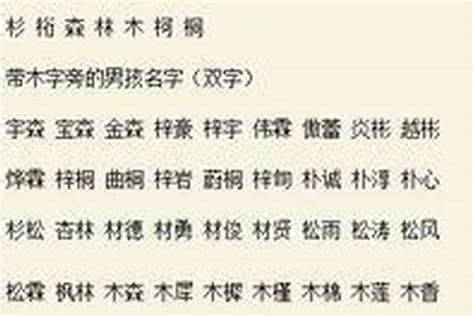 用木字给男孩取名字合集_木字取什么名字好,第3张