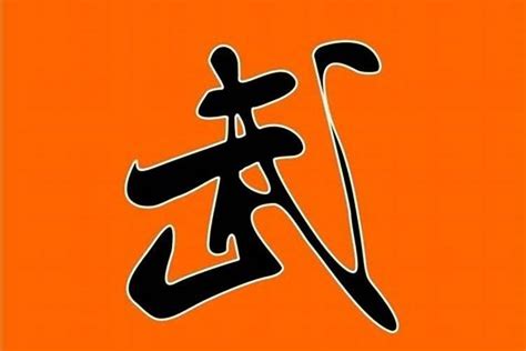 武起名字大全男孩名字_带武的名字男孩子,第4张