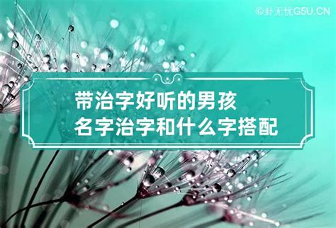 带治字给男孩取名_男孩名字里面有治字好吗,第3张