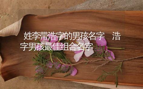 浩取名字男孩名字_怎么用浩字搭配男孩的名字,第3张
