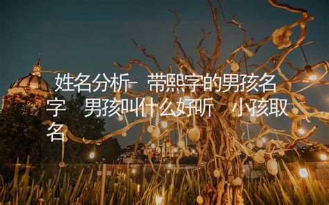 熙字起名字女孩_熙和哪个字搭配起名字好,第3张