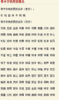 缺木男孩取名字用纪字_纪字搭配取名属木,第3张