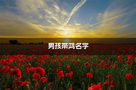 用鸿字起名_带有鸿字的大气男孩名字,第4张 用鸿字起名_带有鸿字的大气男孩名字,第4张