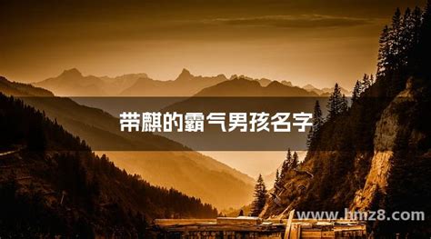 男孩取名用麒字_霸气男孩名字带麒字,第3张
