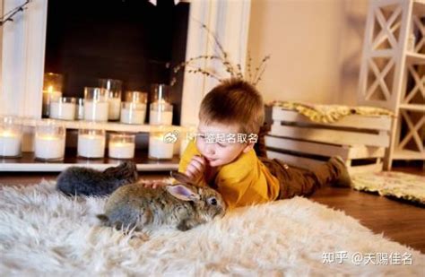 姓席的名字男孩起名_席姓取名,第3张 姓席的名字男孩起名_席姓取名,第3张